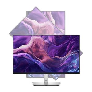 Dell Pro 24 Inch Monitor - P2425H